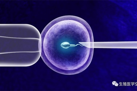 女人乌鲁木齐代生孩子的最佳年龄段 一辈子生几个孩子最好